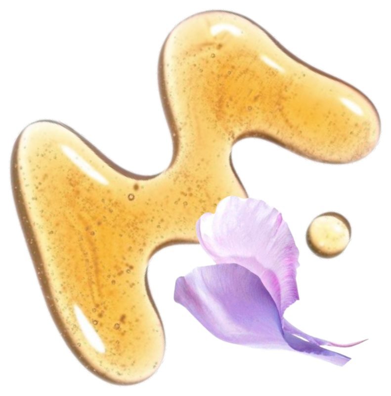 Morning Whisper bloom care
