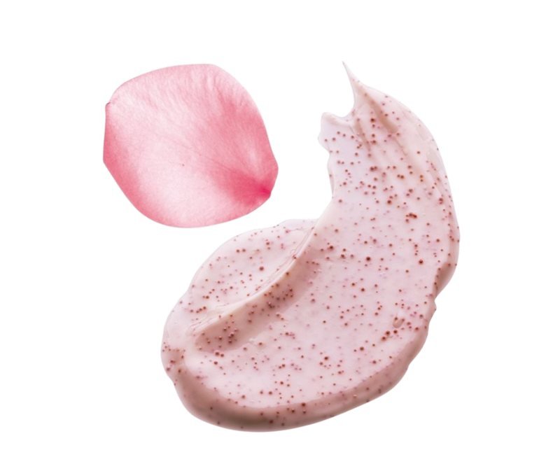 Rose Clay bloom care