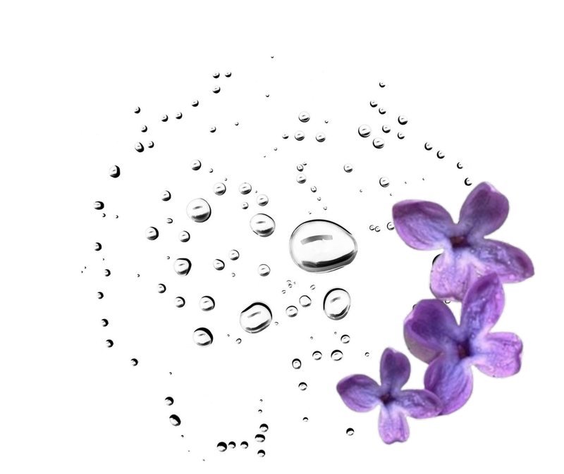 Summer Rain bloom care